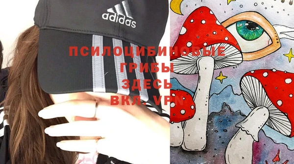 мяу мяу кристалл Бородино