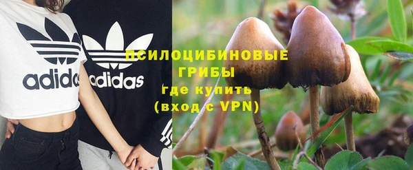 прущая мука Богданович