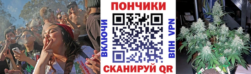 Купить закладки  Светлоград  Каннабис AK-47 